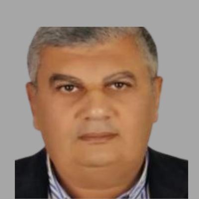 Advisor, Hani Nasr