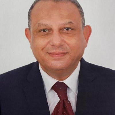 TAREK ABDEL-MONEIM HAMED