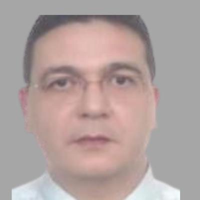 Advisor: Hani Mohamed Hassan
