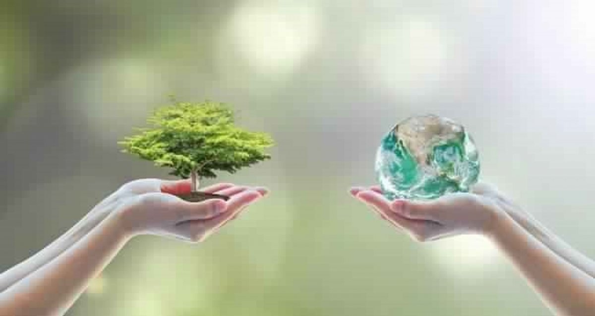 Sustainability and Environmental Sector