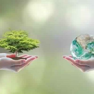 Sustainability and Environmental Sector