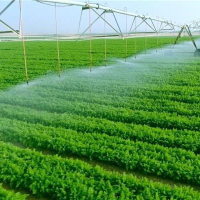 Agriculture and Water Resources Sector