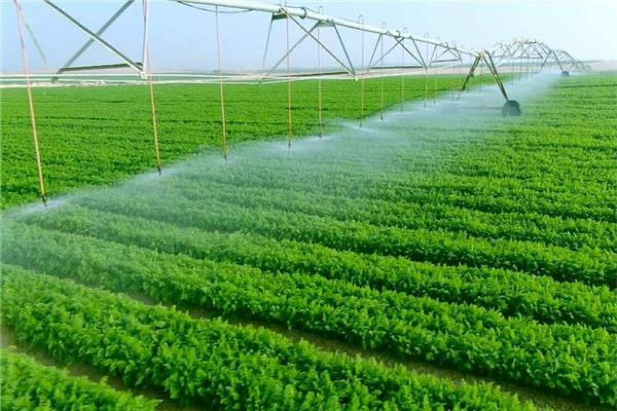 Agriculture and Water Resources Sector