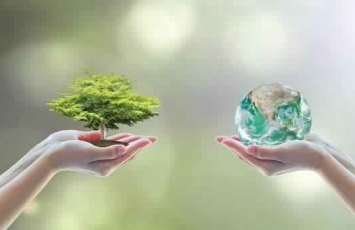 Environment sector