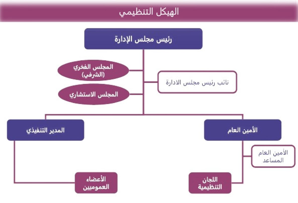 Organizational Structure